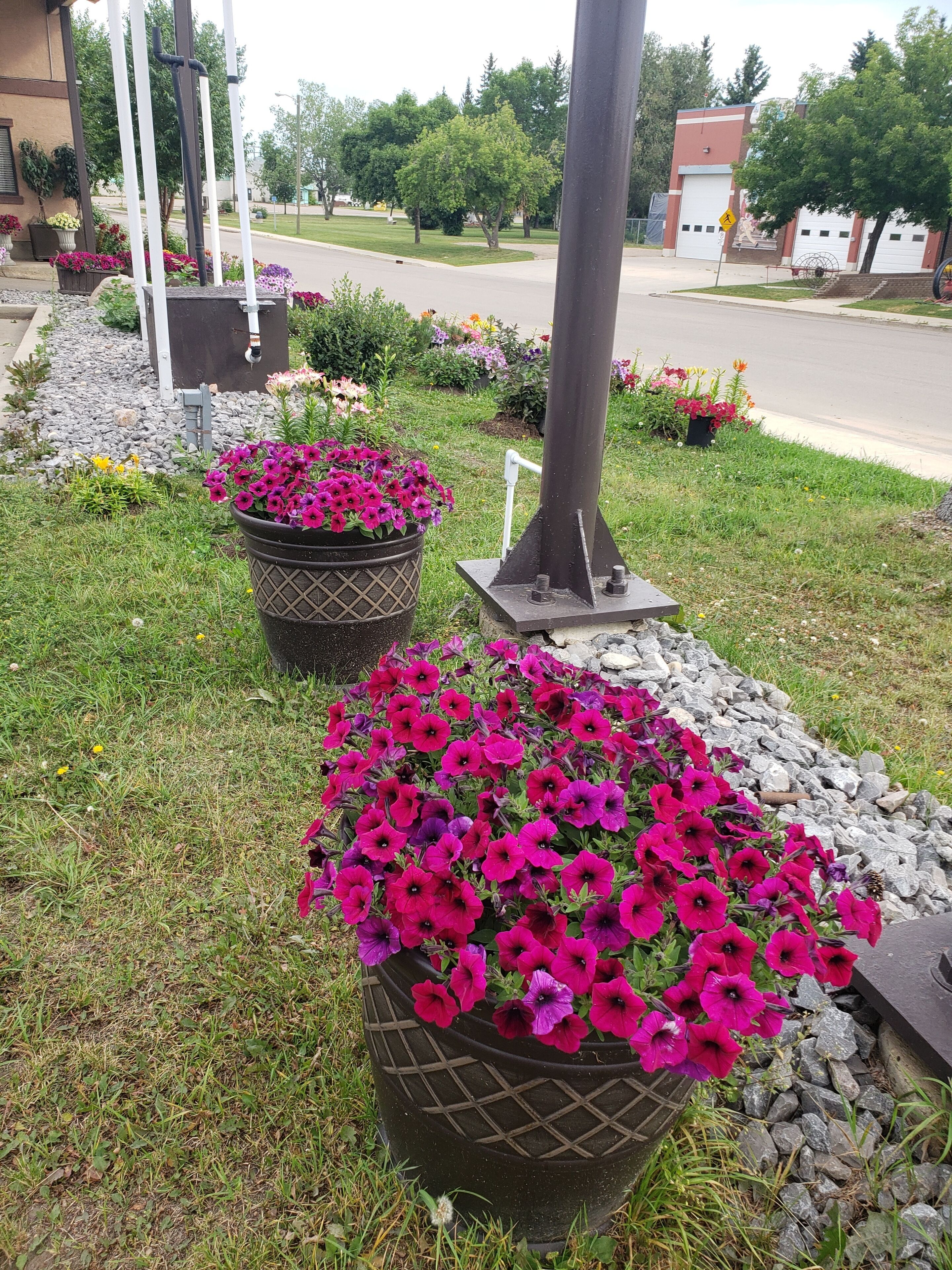A garden with flower beds and a metal structure.