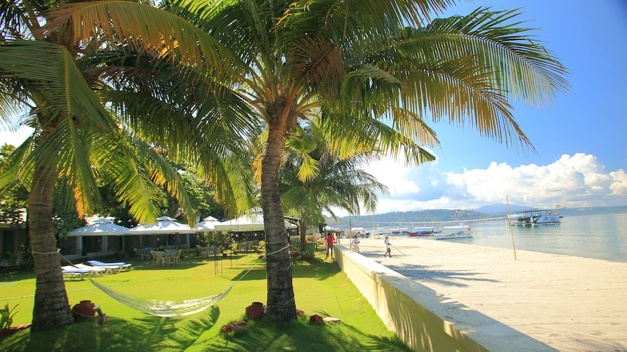 Wild Orchid Beach Resort