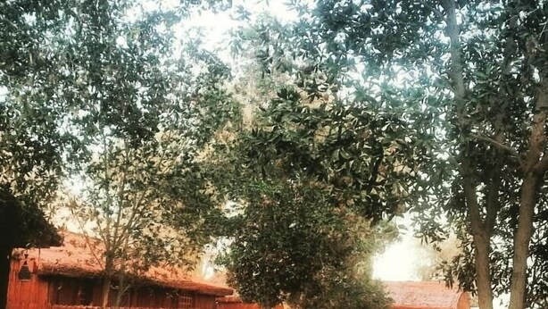 Property grounds - Noor Majan Camp (Manah)
