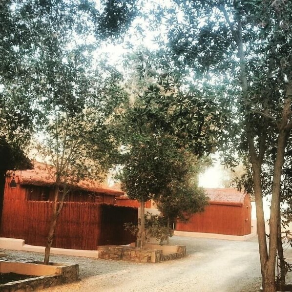 Áreas de la propiedad