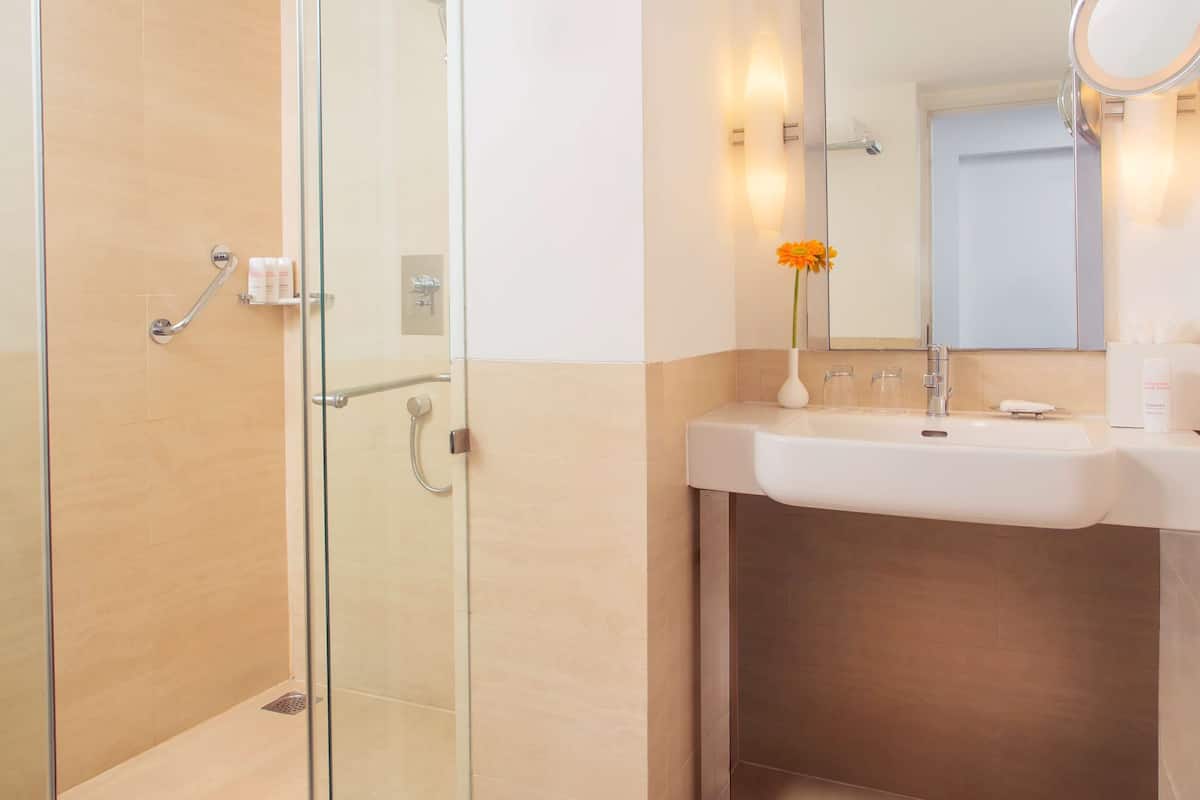 separate bathtub and shower, free toiletries, hair dryer, bathrobes