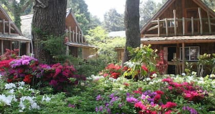 Log Park