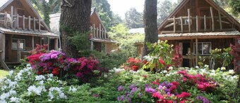 Log Park