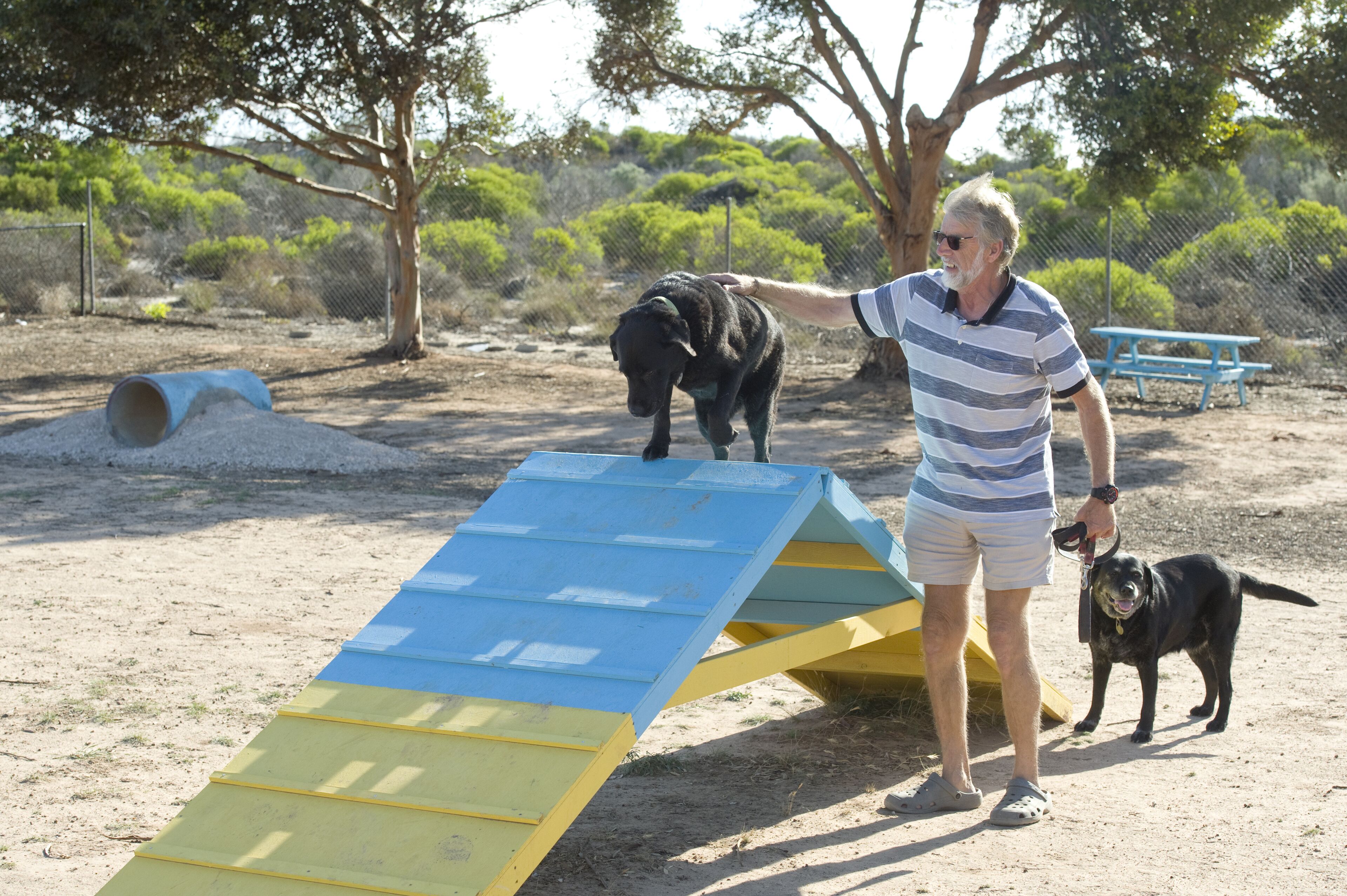 Ein Mann mit einem Hund in der Nähe einer blauen und gelben Rampe in einem von Zäunen umgebenen Außenbereich mit Bäumen und einem Picknicktisch im Hintergrund.