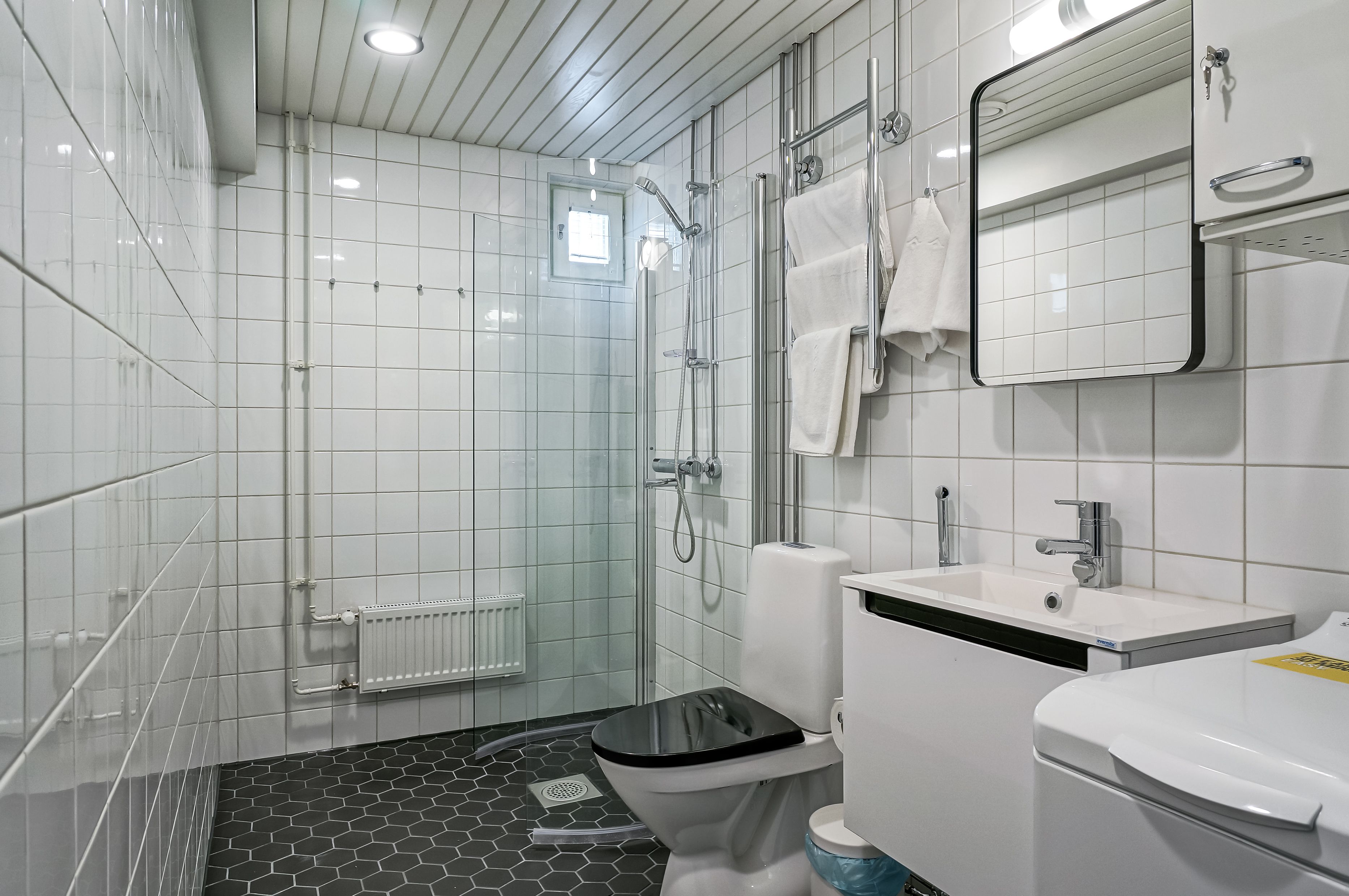 A modern bathroom with a glass shower enclosure, a toilet, a sink, and a mirror.