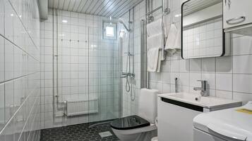 A modern bathroom with a glass shower enclosure, a toilet, a sink, and a mirror.