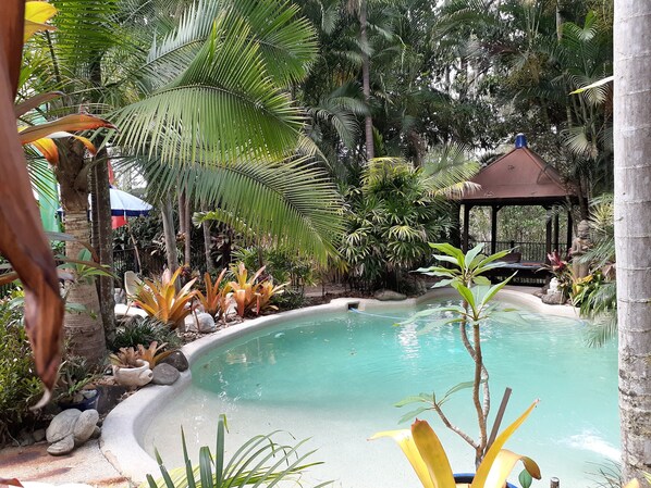 Outdoor pool, pool umbrellas, pool loungers