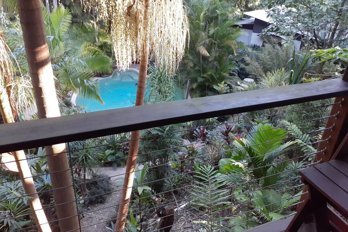 A view of a pool surrounded by lush tropical vegetation, with a wooden deck in the foreground.