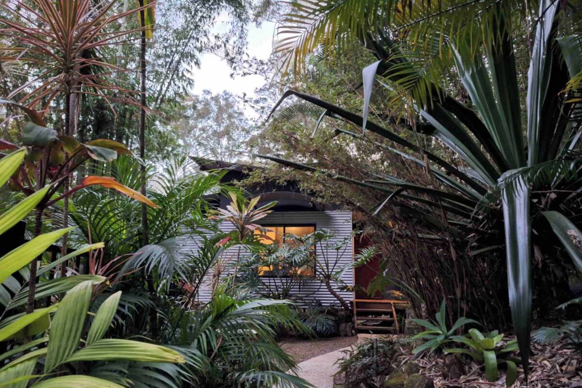 A secluded cabin surrounded by dense tropical foliage, with a gravel path leading to the entrance.