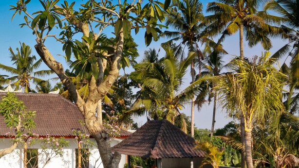 Indoor pool, outdoor pool, sun loungers - Puri Suksma Ubud (Ubud)