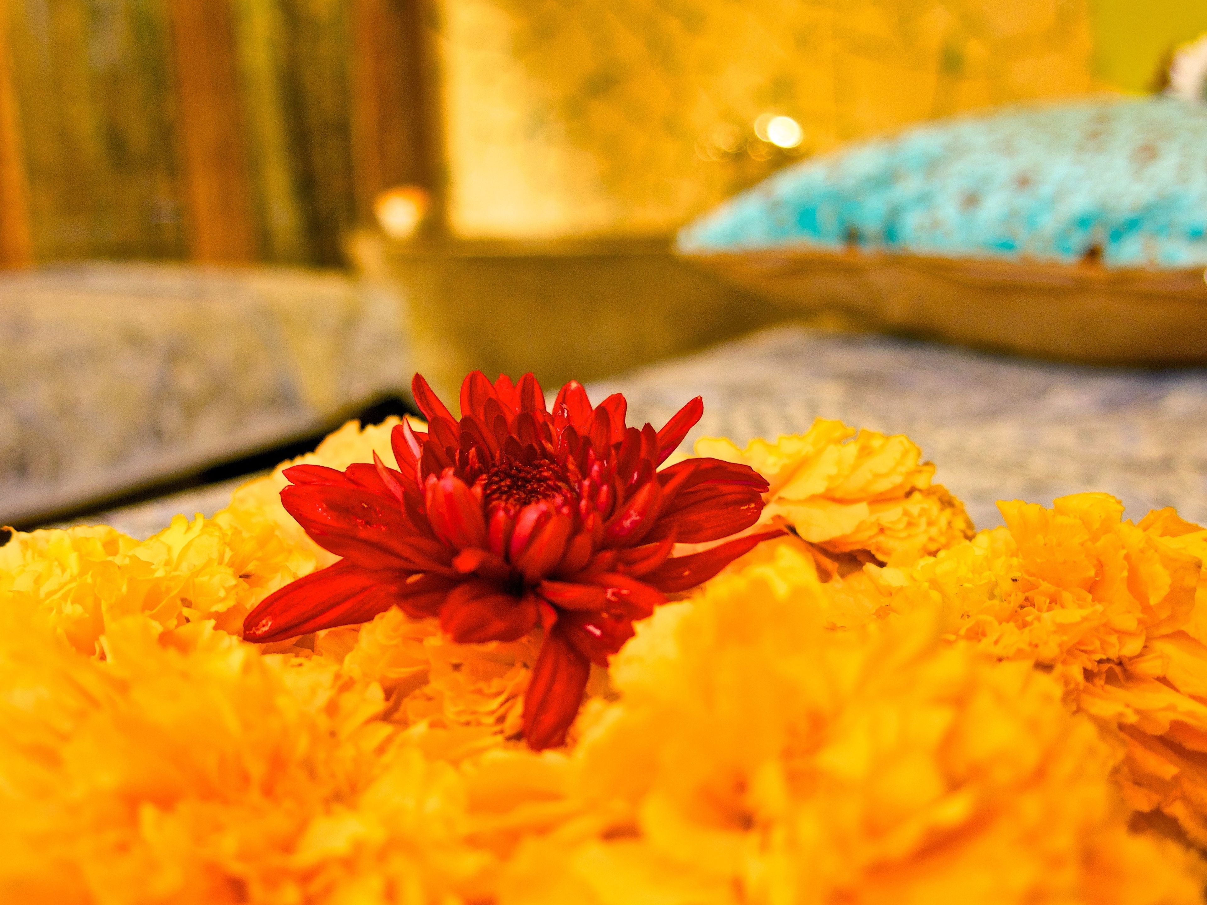 couples treatment room(s), body treatments, aromatherapy, body scrubs