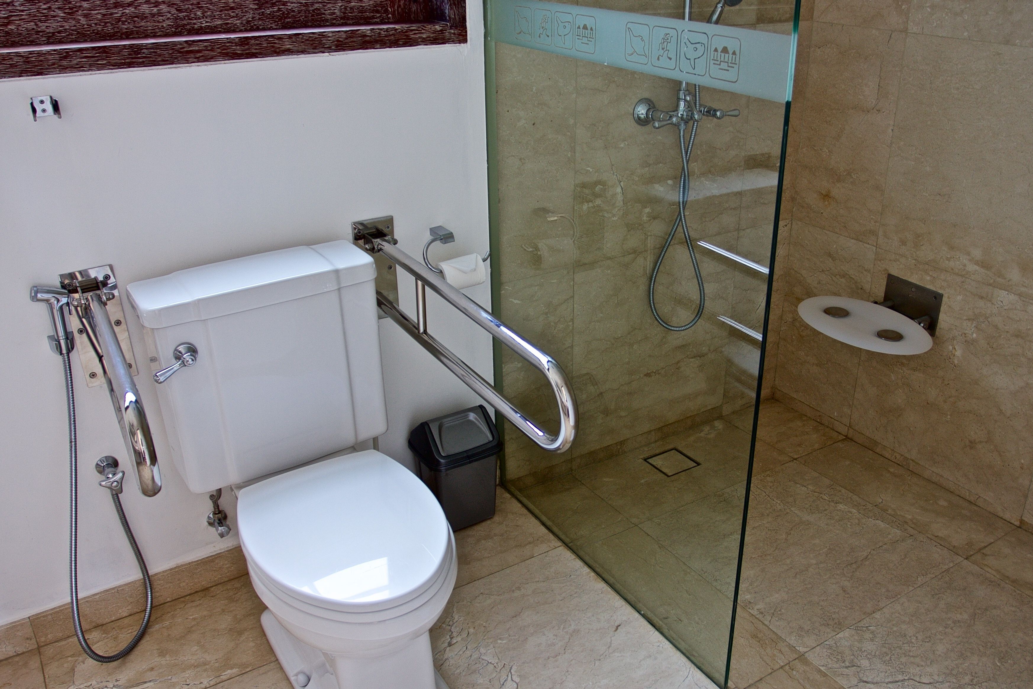 A bathroom with a white toilet, a glass shower enclosure, and a handrail.