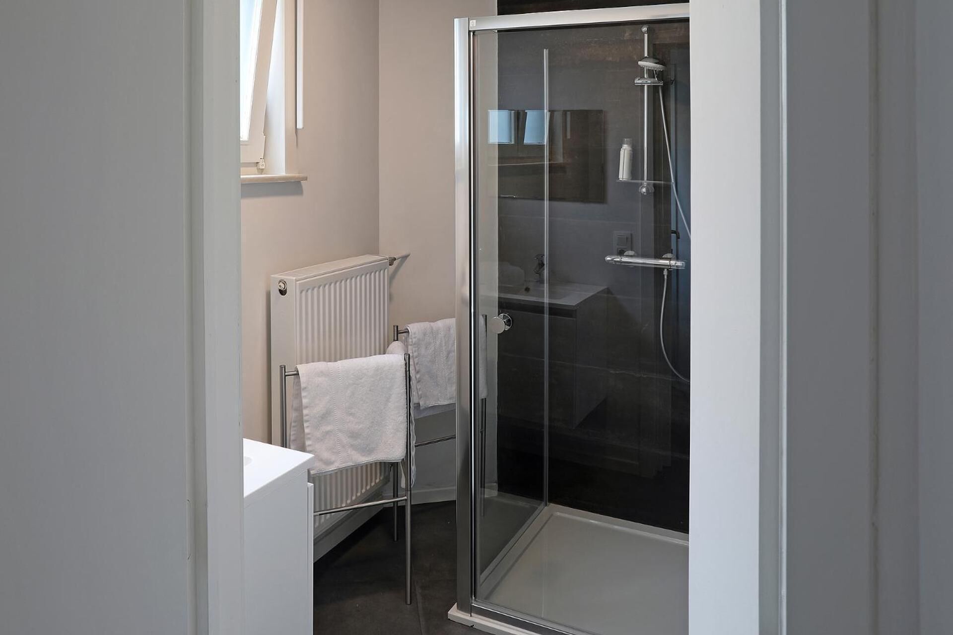 Een moderne badkamer met een douchecabine van glas, een witte handdoekradiator en een handdoekhouder.