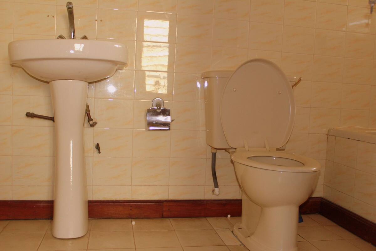 A bathroom with a sink and toilet.