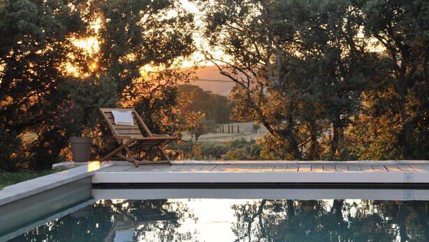 Área à beira da piscina com espreguiçadeira e planta em vaso.