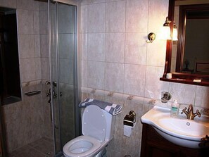 A bathroom with a glass-enclosed shower, a white toilet, and a sink with a mirror above it. - Nikolas Guesthouse (Zagori)