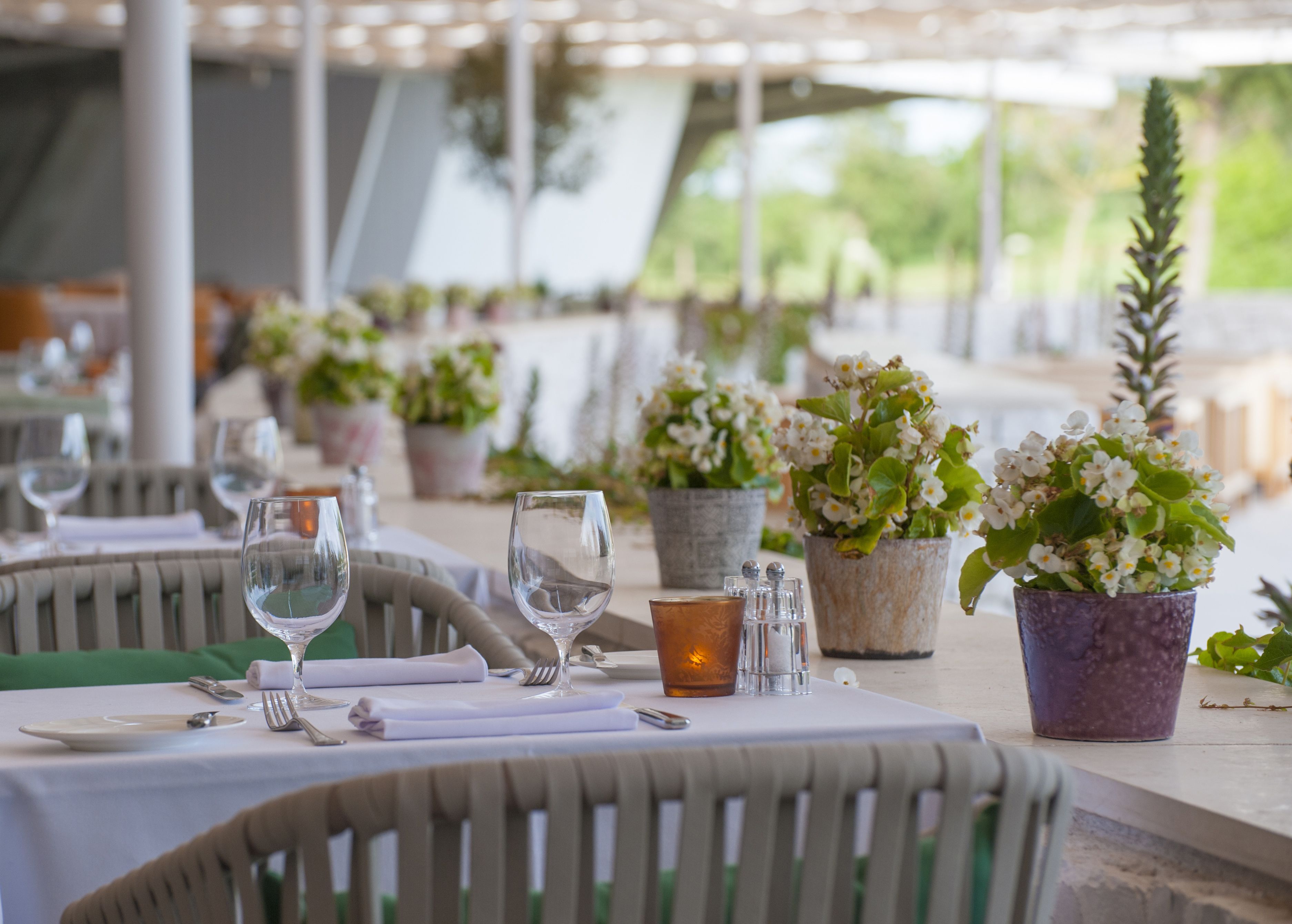 2 restaurants, lunch served