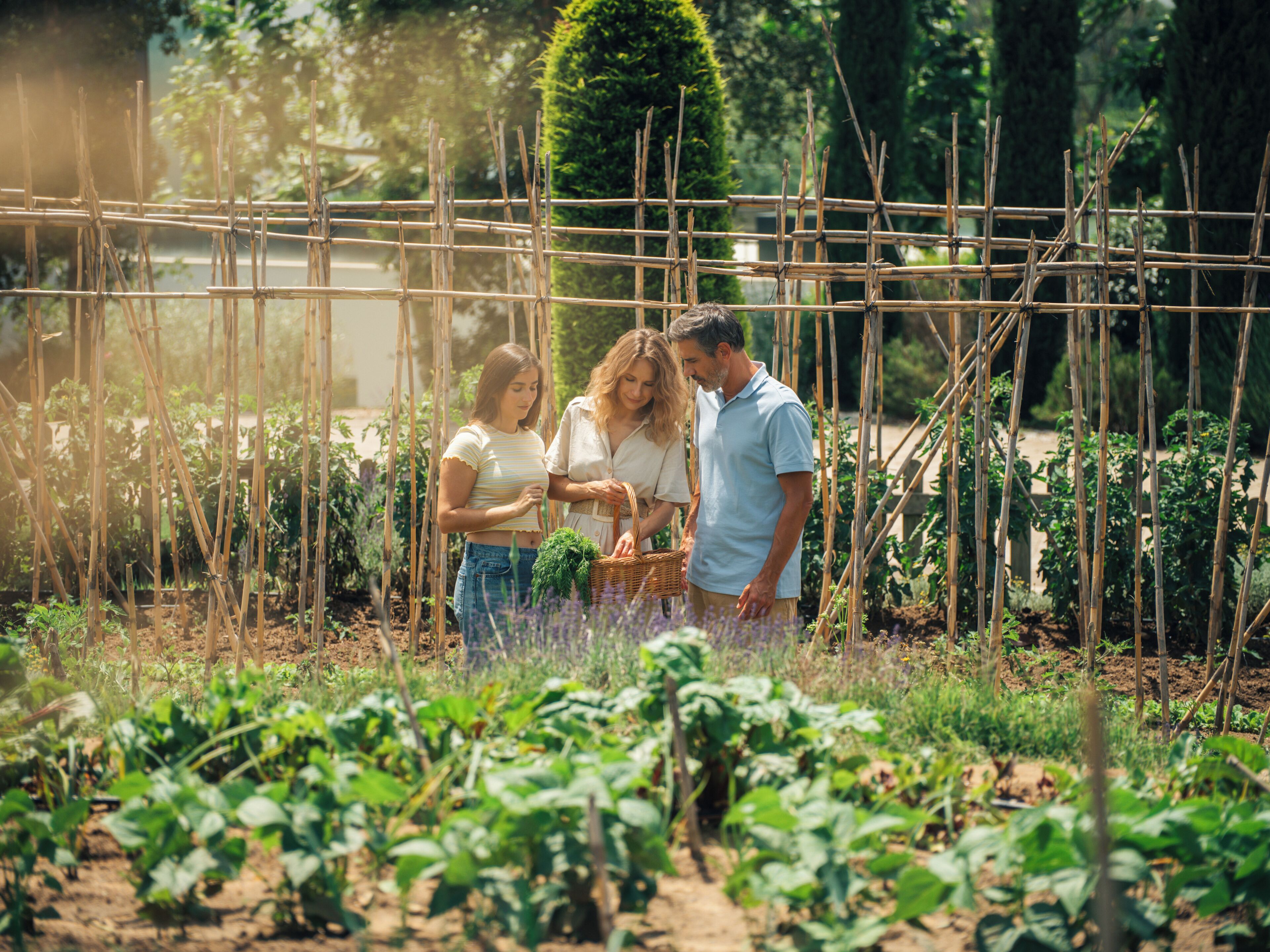 Een tuin met bamboestructuren en diverse planten.