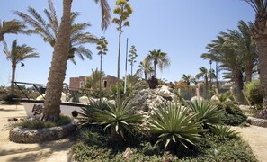 On the beach, sun loungers, beach umbrellas, beach towels - Jewels Sahara Boutique Resort (Hurghada)
