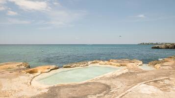 Outdoor pool, a natural pool