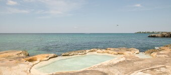 Mango Beach Studio