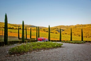 Property entrance - Chianti Yoga - The Tuscan Collection (Greve in Chianti)
