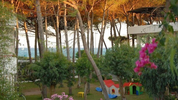 A garden with trees, a small playhouse, and a bench.