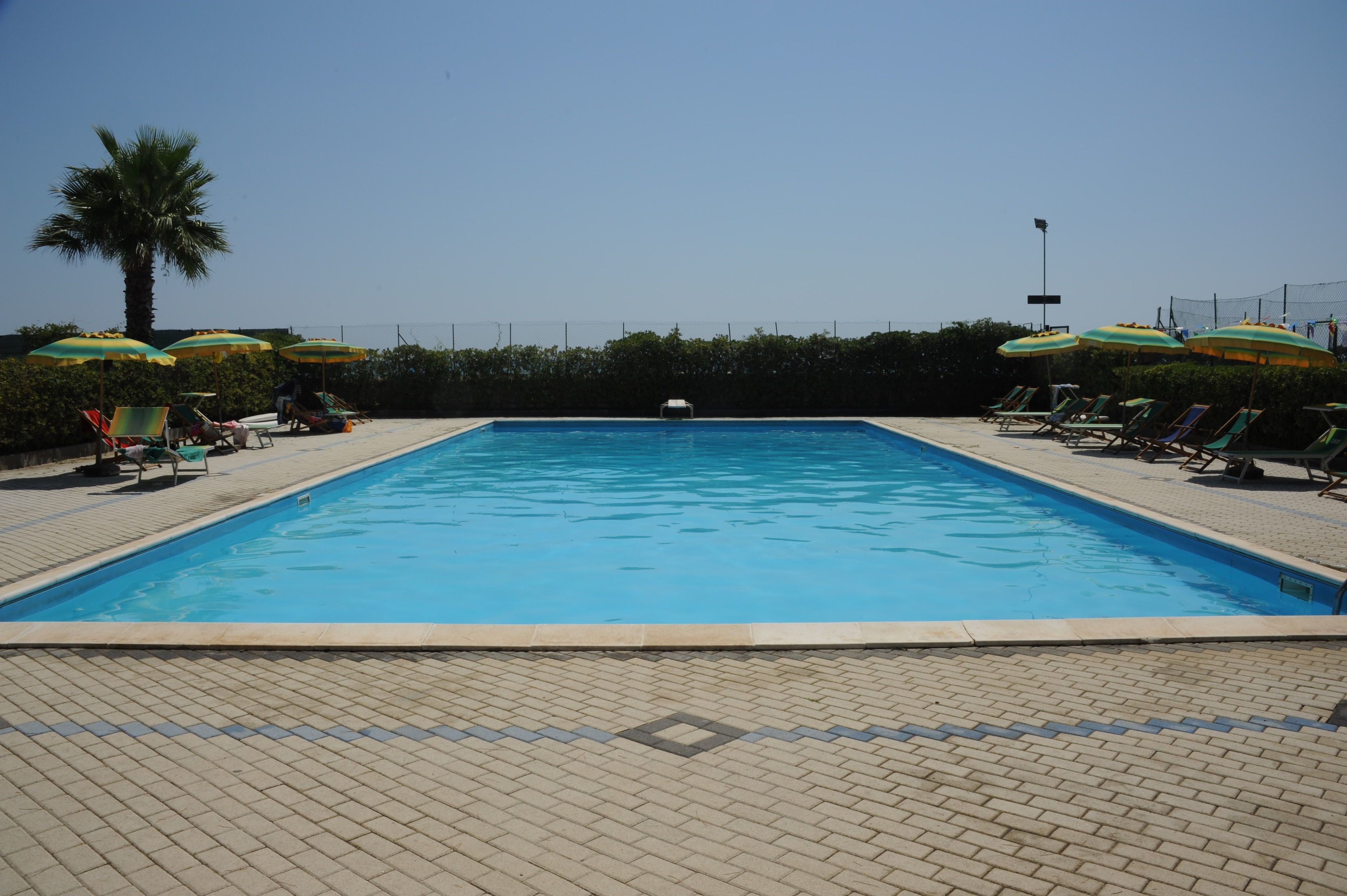 A rectangular swimming pool with a tiled deck, surrounded by lounge chairs and umbrellas, and a palm tree in the background.