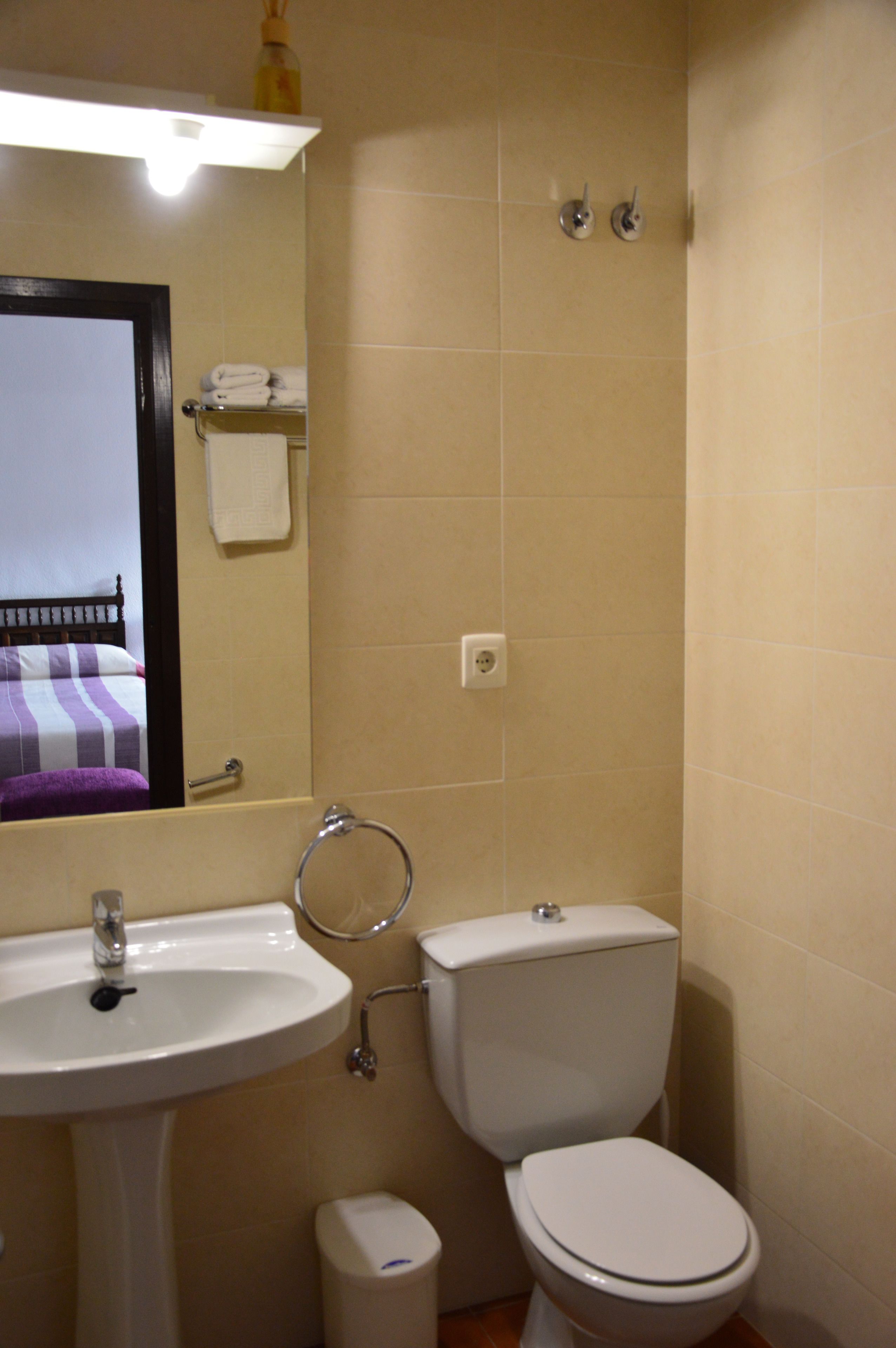 A bathroom with a sink, toilet, and a mirror.