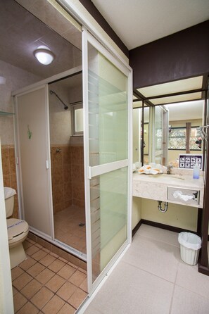 Desk, iron/ironing board, free WiFi - Hotel 1904 (Apizaco)