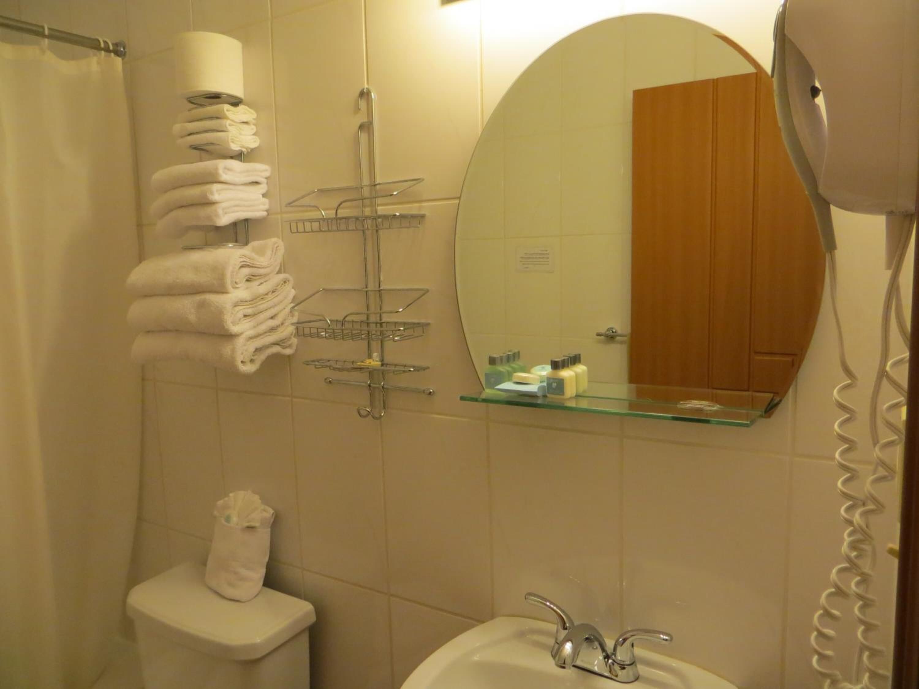 combined shower/bathtub, free toiletries, hair dryer, towels