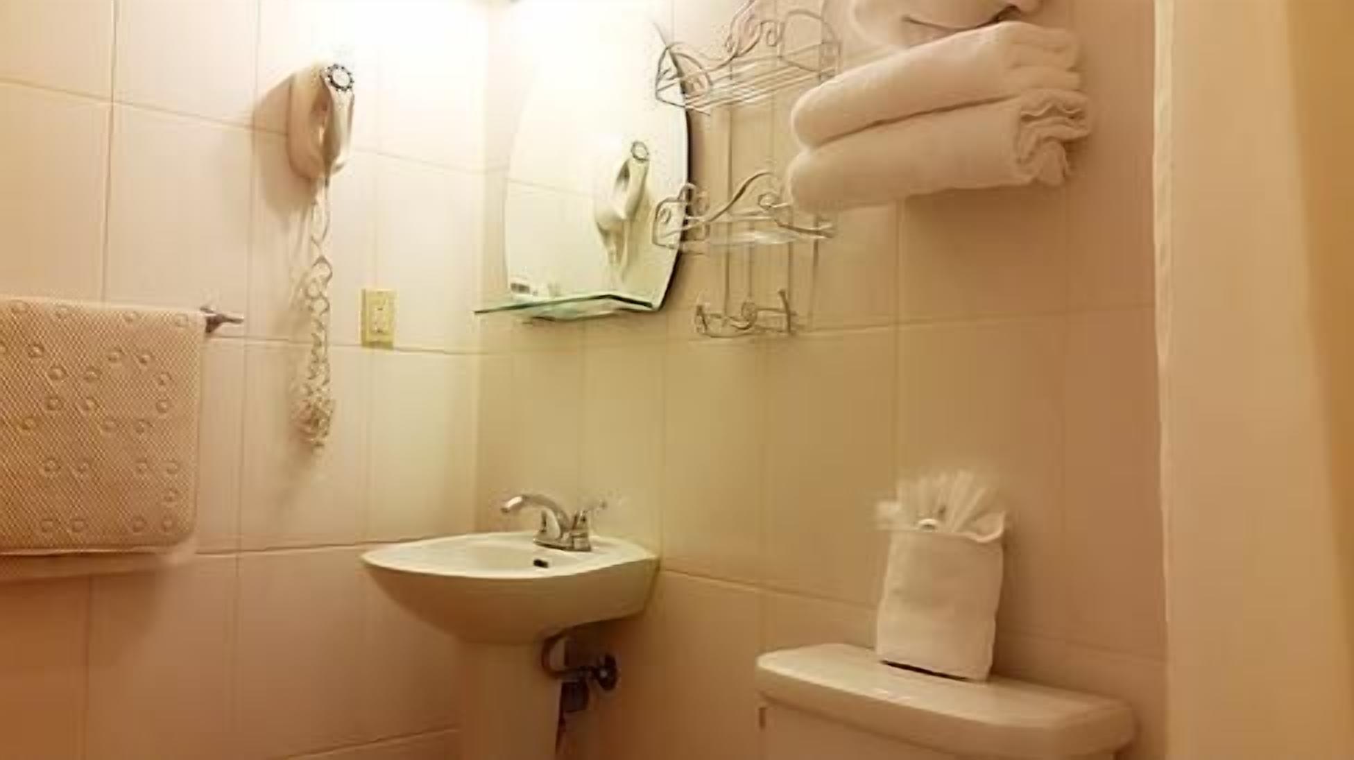 combined shower/bathtub, free toiletries, hair dryer, towels