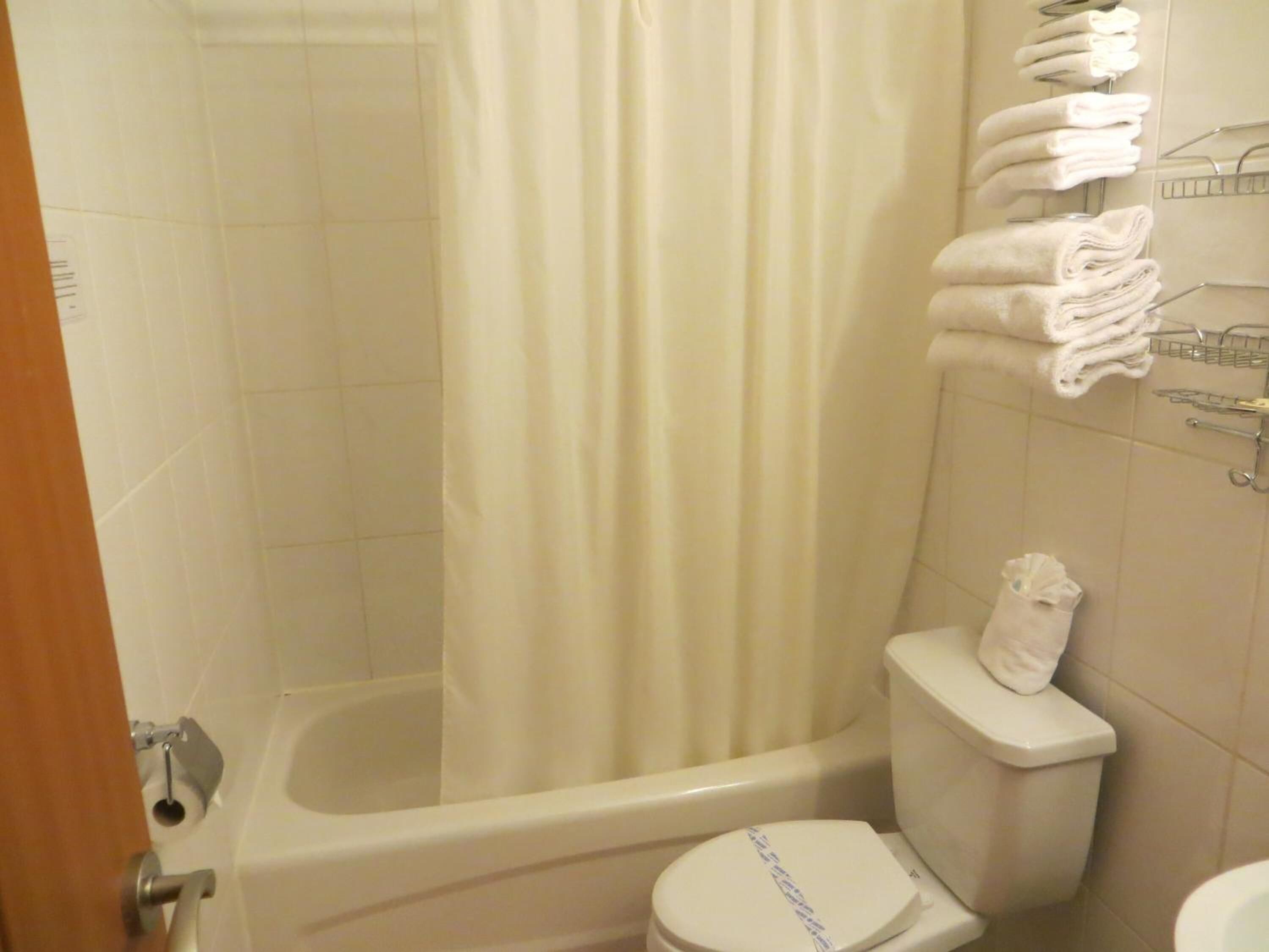 combined shower/bathtub, free toiletries, hair dryer, towels