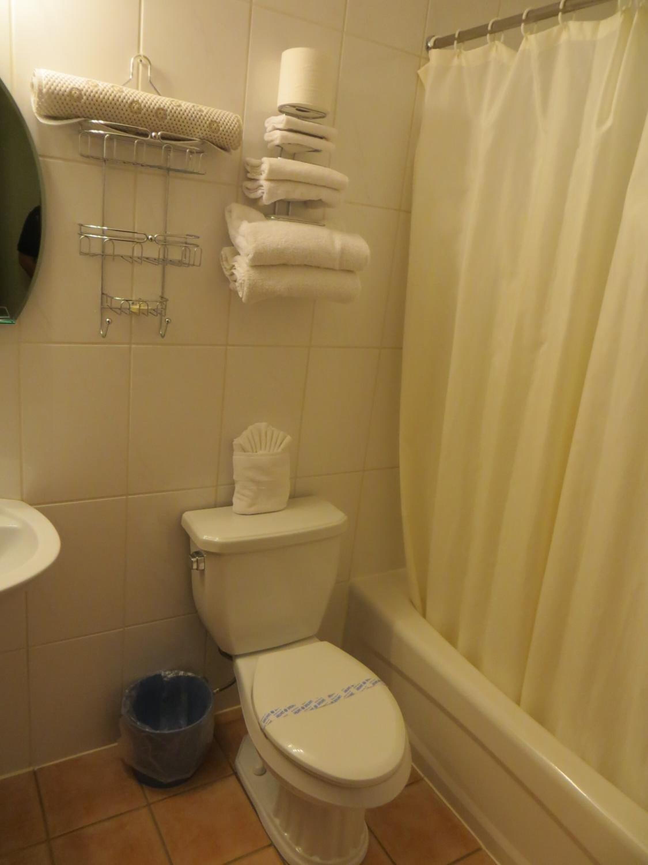 combined shower/bathtub, free toiletries, hair dryer, towels