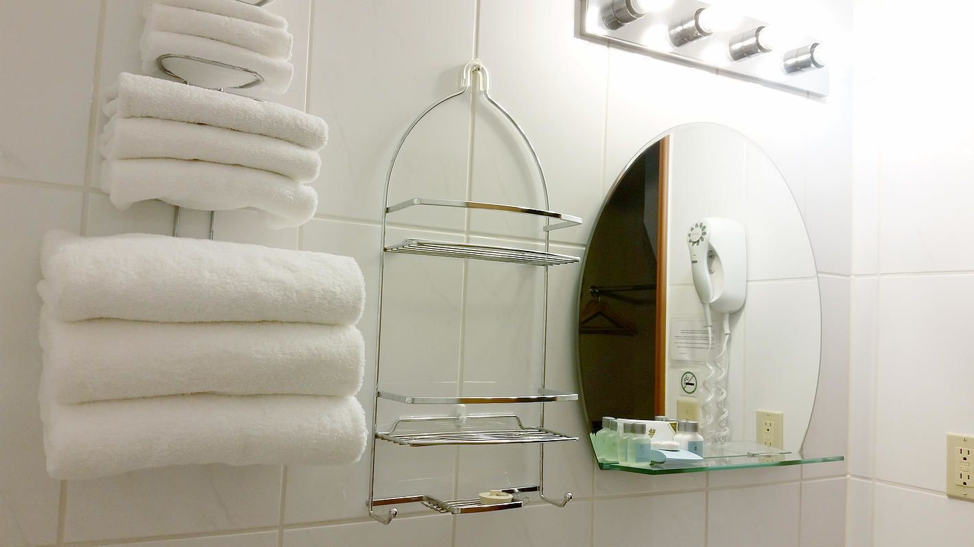 combined shower/bathtub, free toiletries, hair dryer, towels