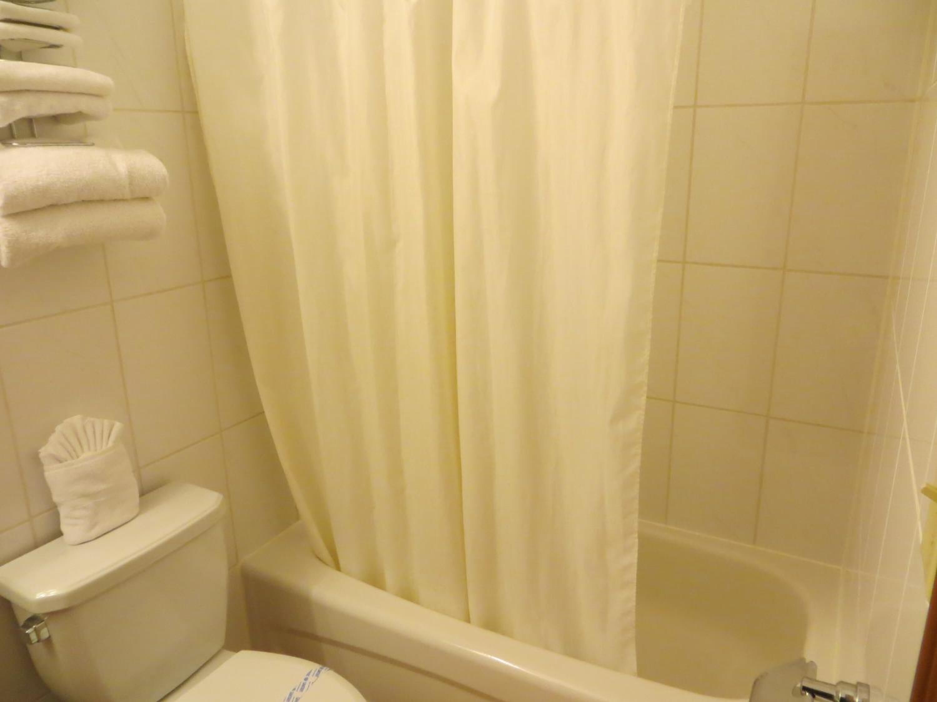 combined shower/bathtub, free toiletries, hair dryer, towels