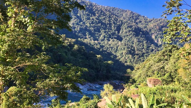 A lush, green landscape with a river, dense forest, and a mountain in the background. - La Villa de Soledad B&B (La Ceiba)