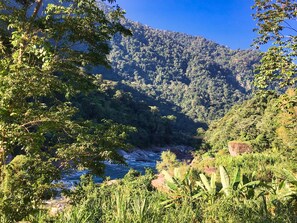 A lush, green landscape with a river, dense forest, and a mountain in the background.