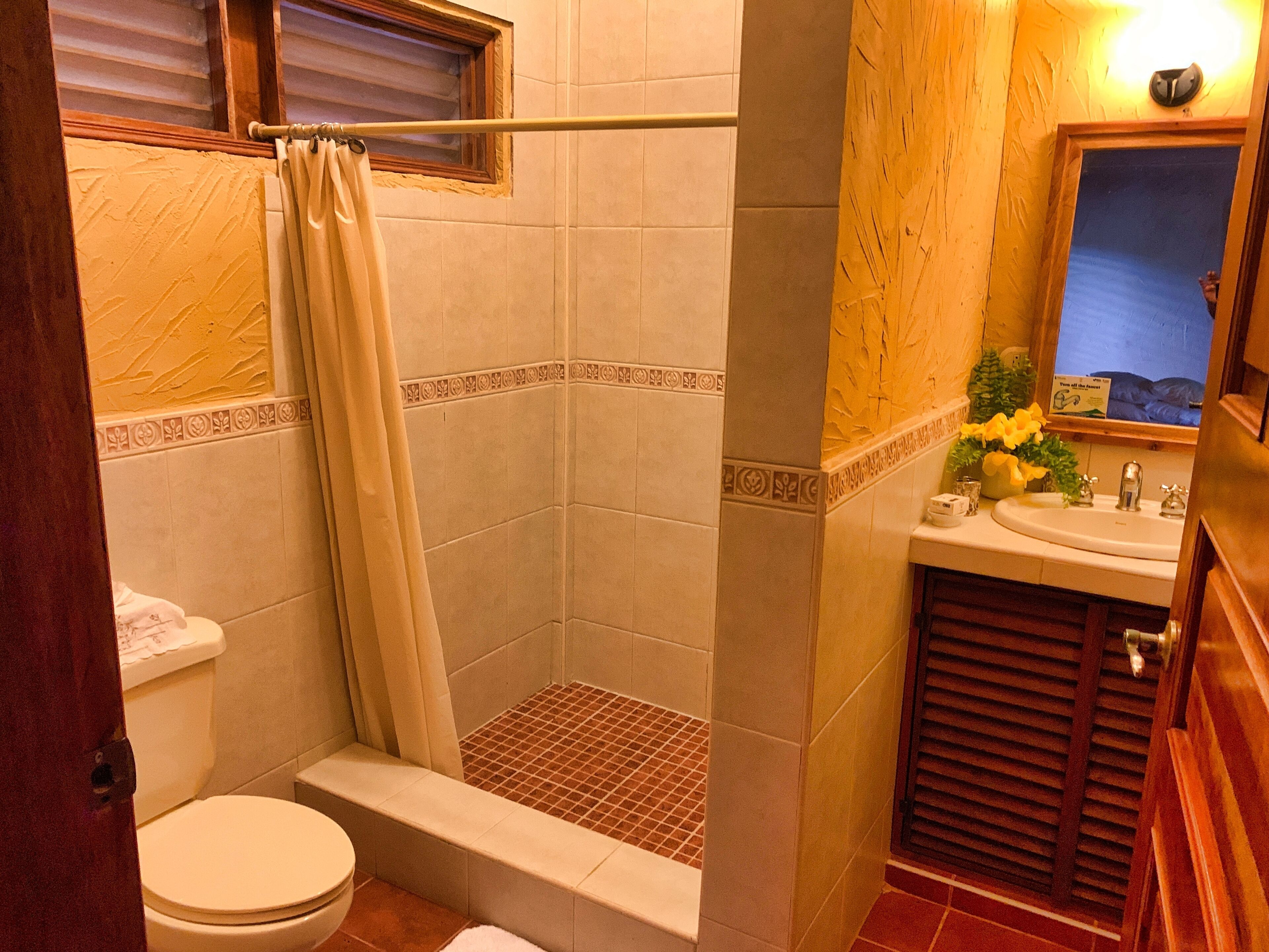 Foto - La Villa de Soledad