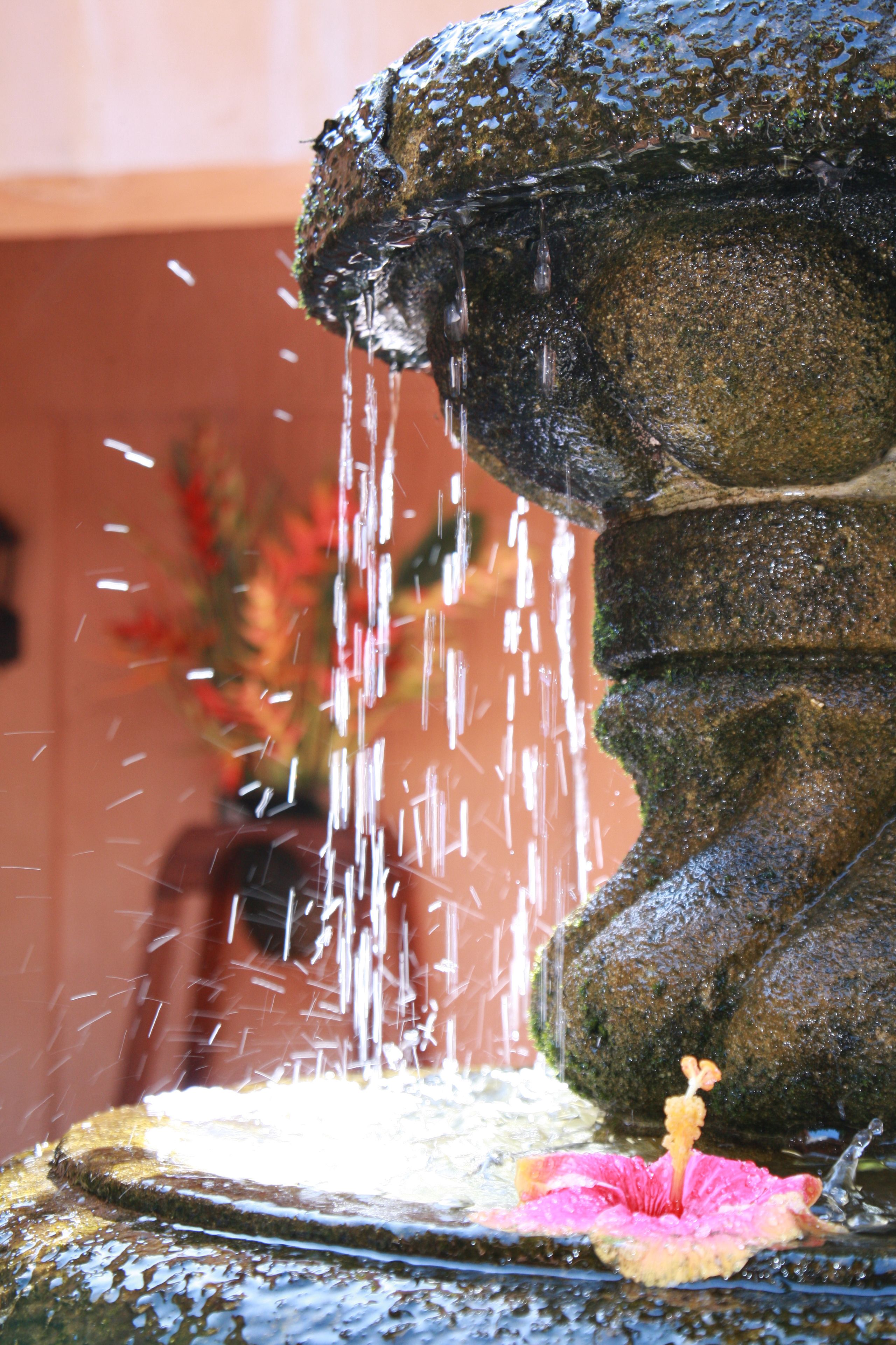 Foto - La Villa de Soledad