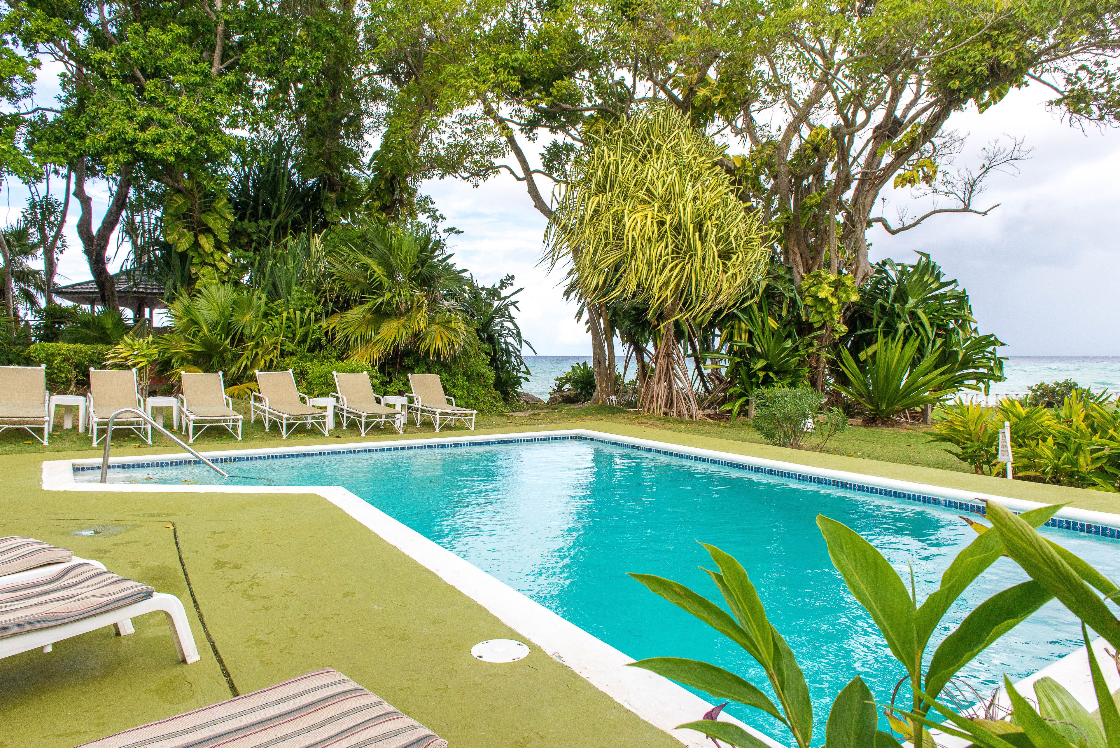 Outdoor pool, pool loungers