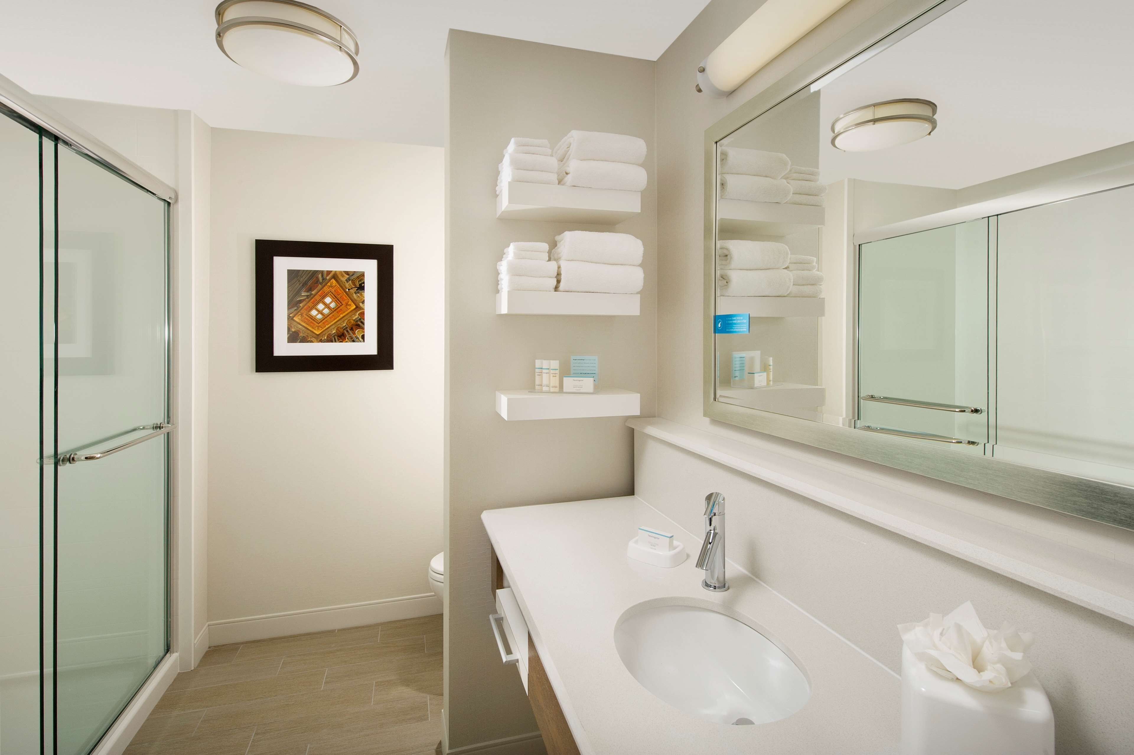 studio suite, 1 king bed with sofa bed, non smoking (wet bar) | bathroom | combined shower/bathtub, free toiletries, hair dryer, towels