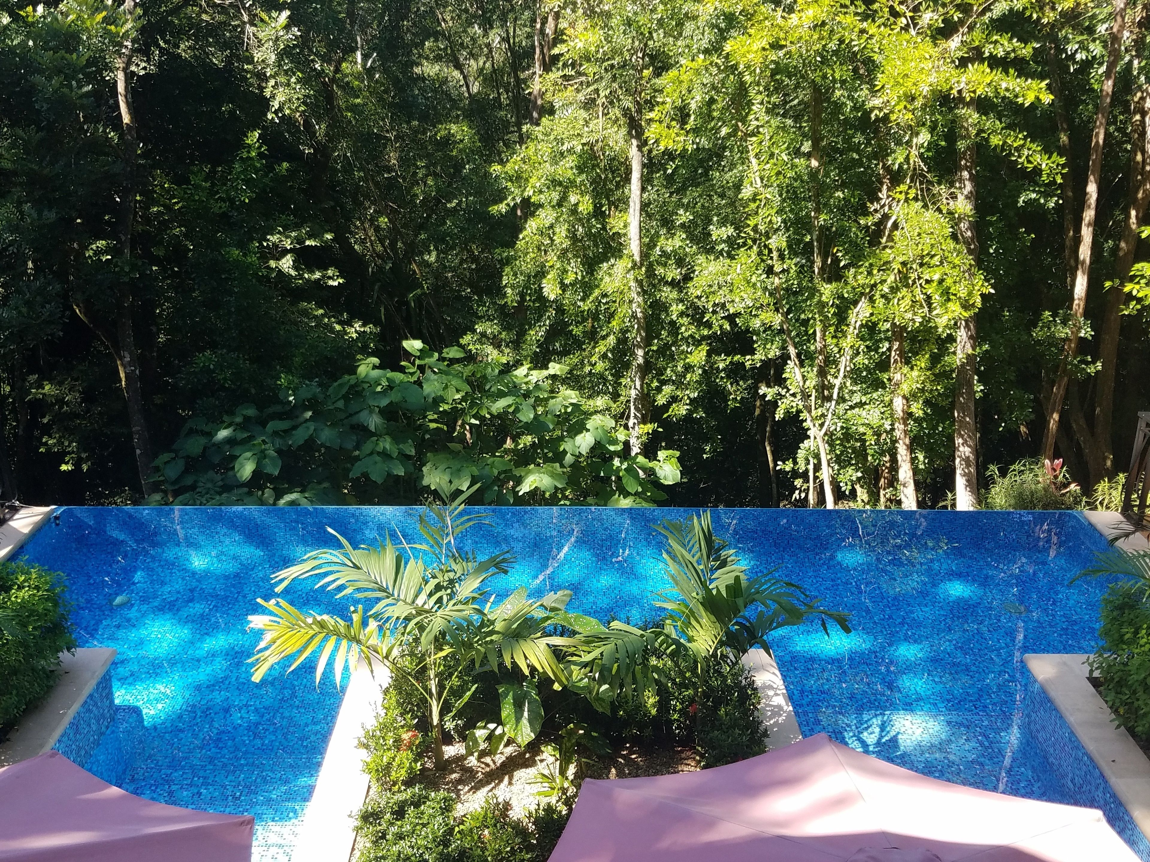 Una piscina con diseño de mosaico azul, rodeada de abundante vegetación y árboles.