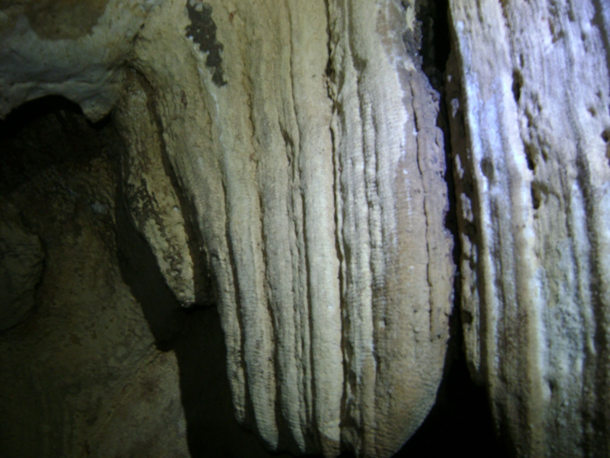 A close-up of a cave formation with stalactites.