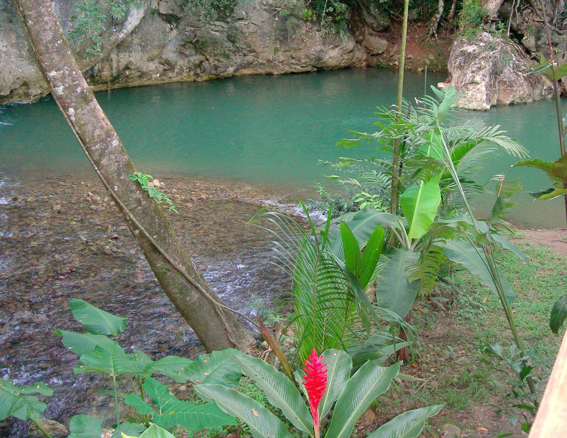 A natural landscape with a river, rocks, and vegetation.