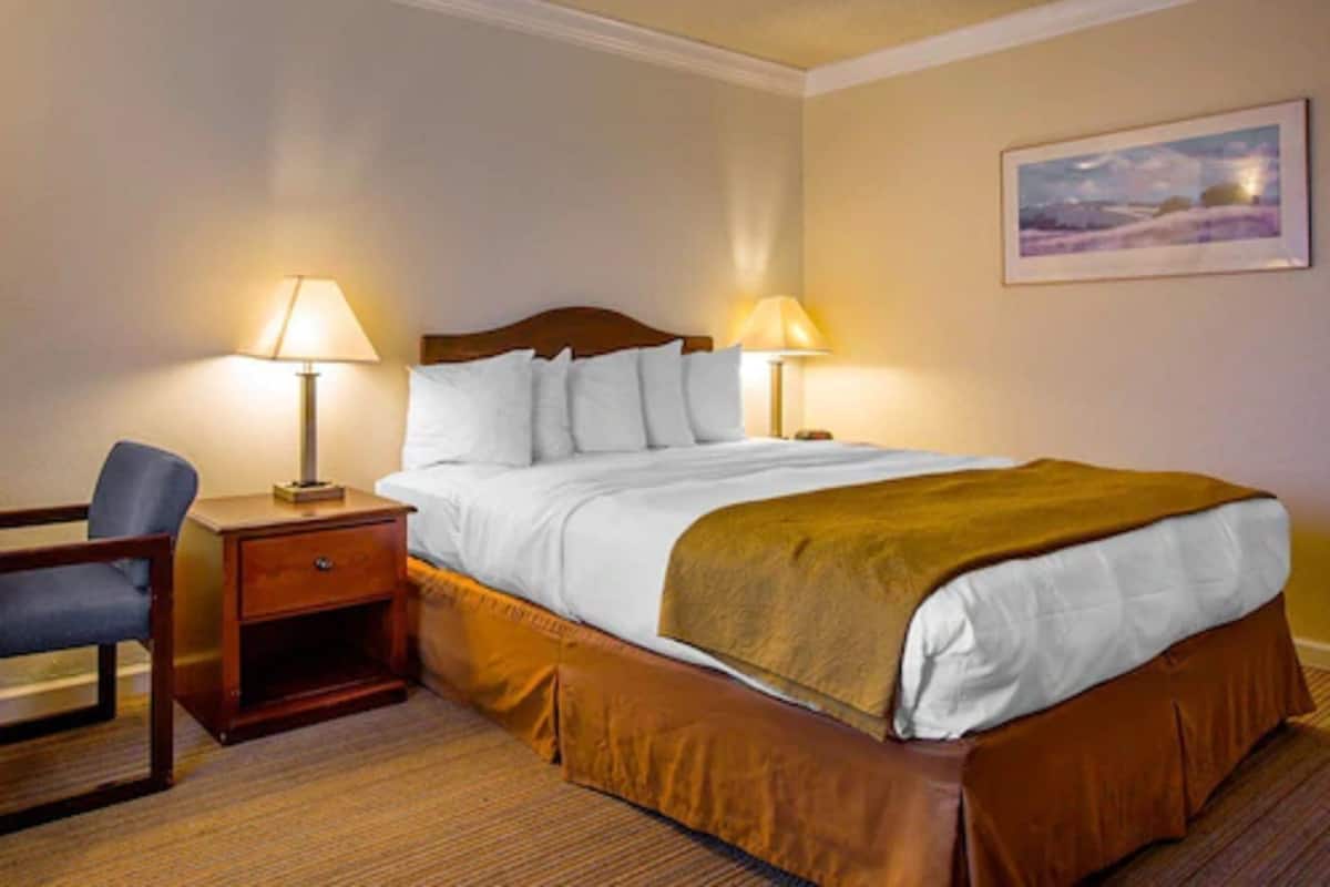 Kamar Standar, 1 Tempat Tidur Queen | Meja kerja, setrika/meja setrika, Wi-Fi gratis, dan seprai linen