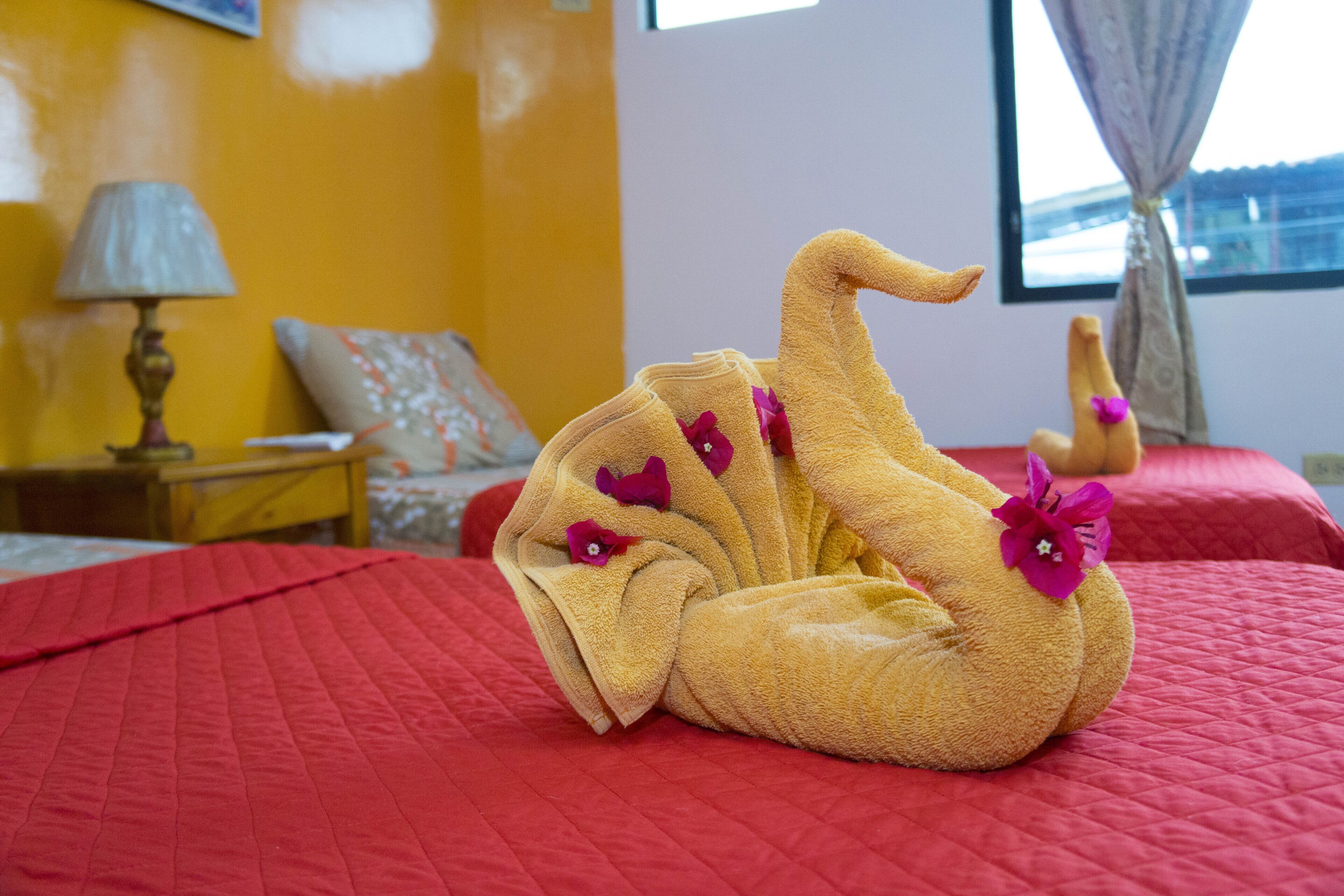 미니바, 각각 다른 스타일의 인테리어, 각각 다르게 가구 비치, 무료 WiFi