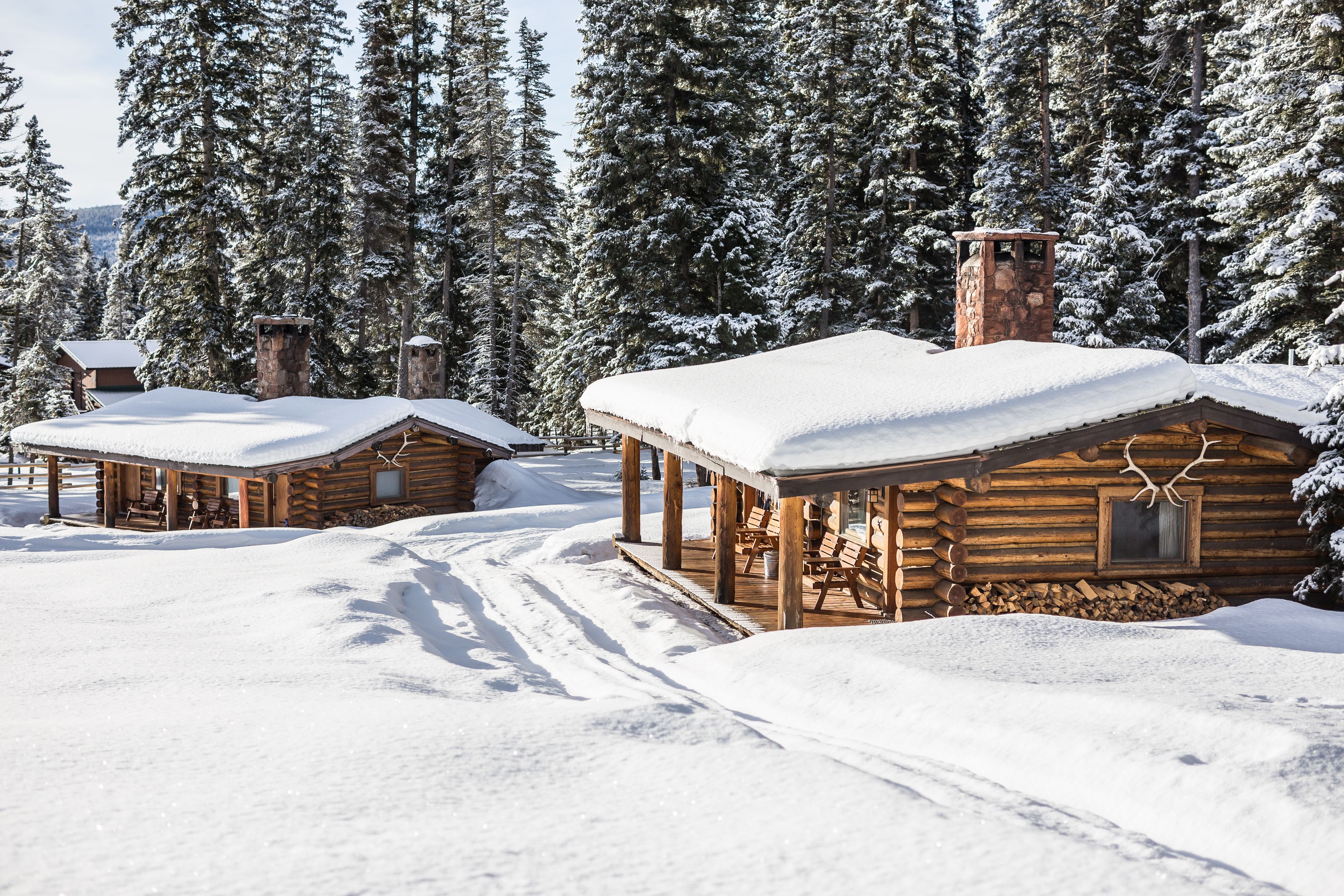 เคบิน, เตียงควีนไซส์ 1 เตียง (Cougar) | ลานระเบียง/นอกชาน