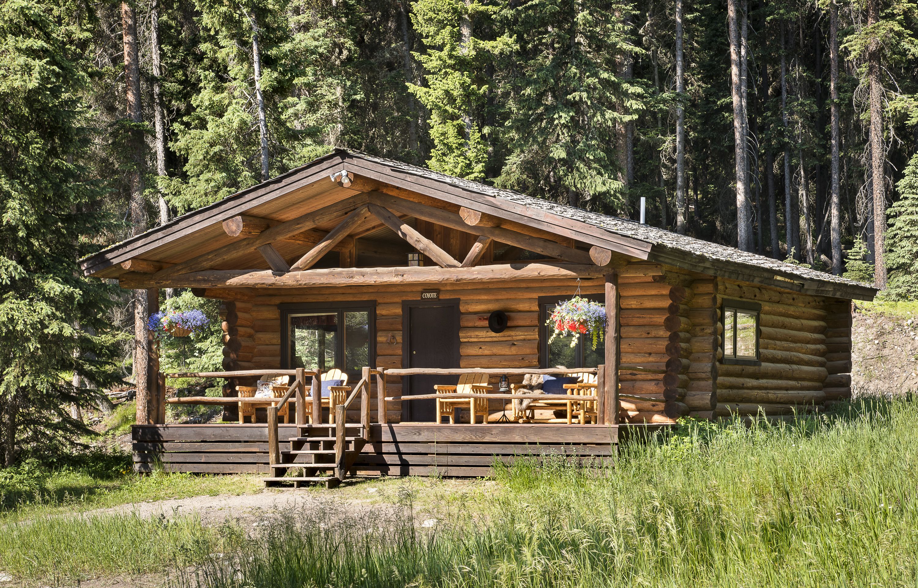 cabin, multiple beds (larkspur) | egyptian cotton sheets, premium bedding, down duvets, pillow-top beds