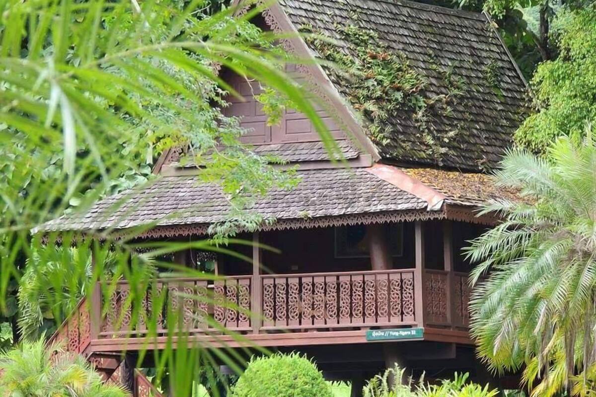 Una casa de madera tradicional con techo de paja, rodeada de exuberante vegetación y palmeras.